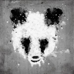 Meet your Posher, Jenny jones